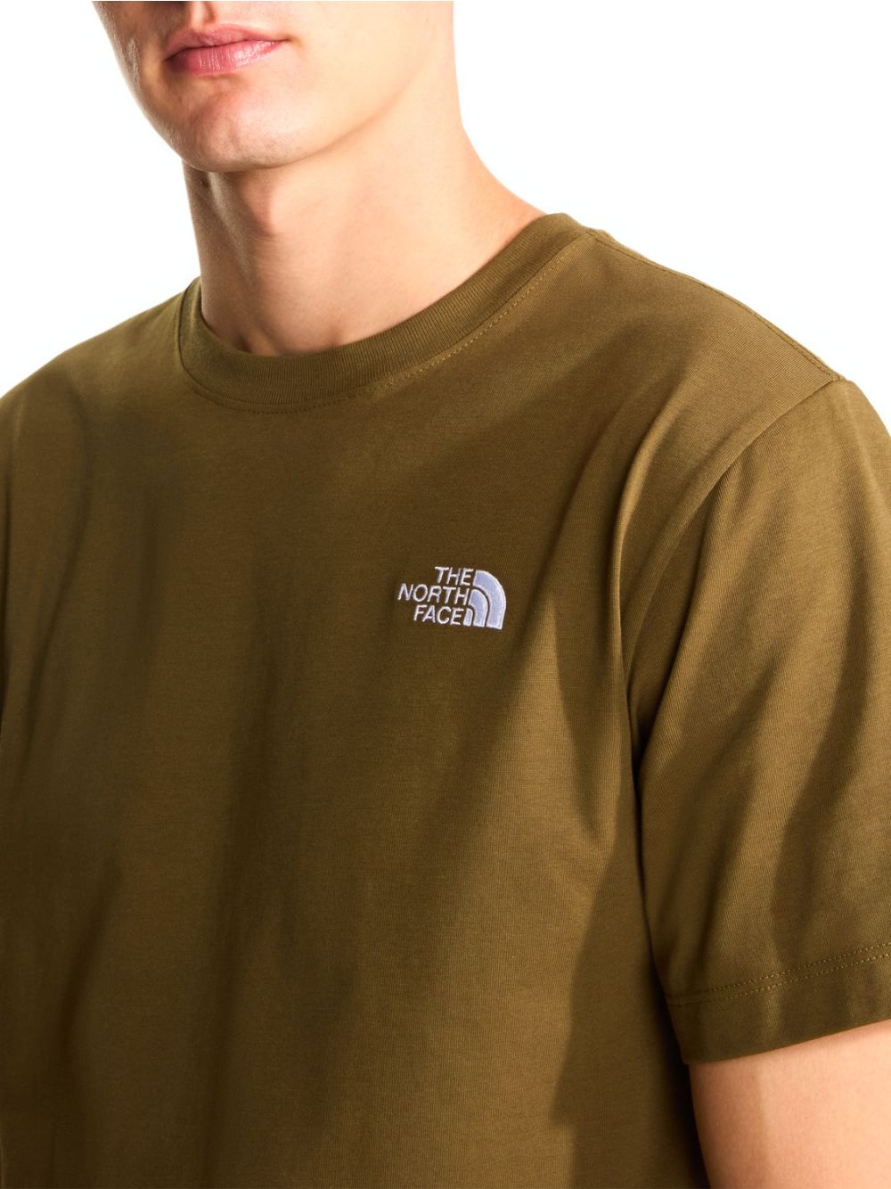 T-shirt The North Face EVO SD REG SS Uomo - Marrone