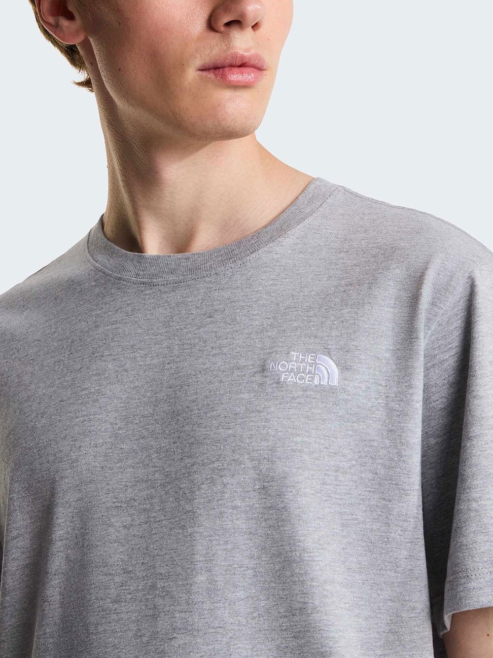 T-shirt The North Face EVO SD REG SS Uomo - Grigio