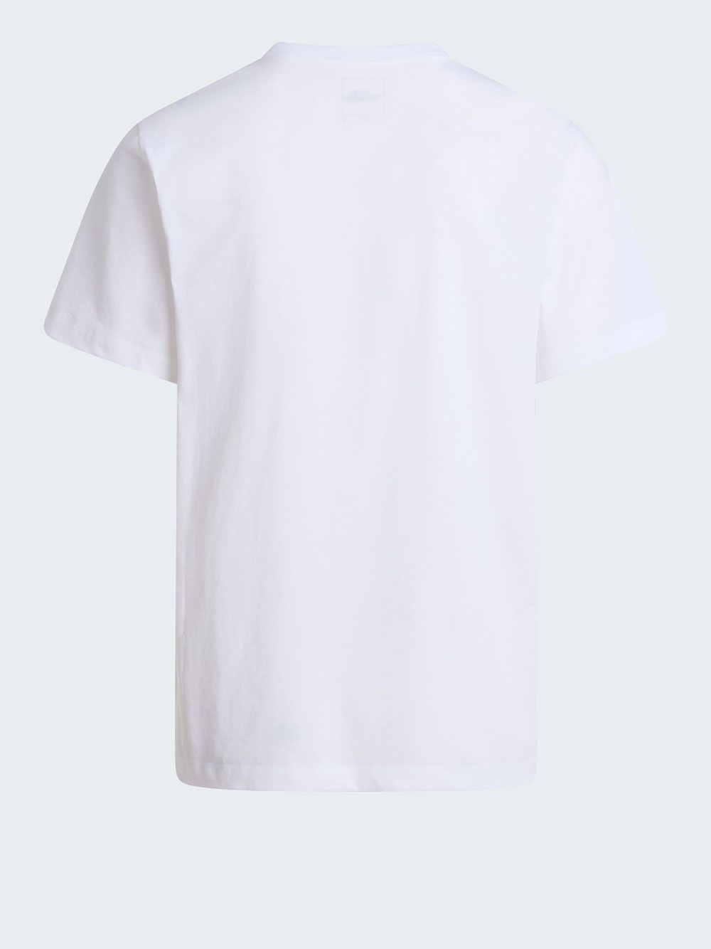 T-shirt The North Face EVO SD REG SS Uomo - Bianco