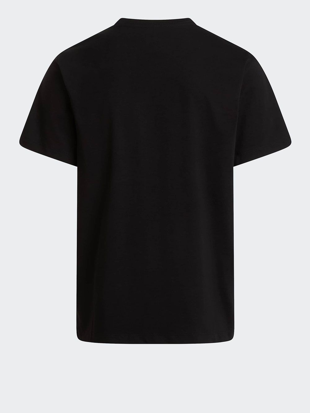 T-shirt The North Face EVO SD REG SS Uomo - Nero