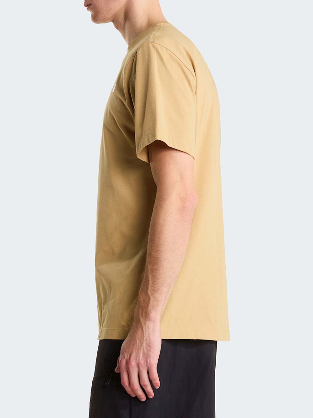 T-shirt The North Face EVO SD REG SS Uomo - Beige