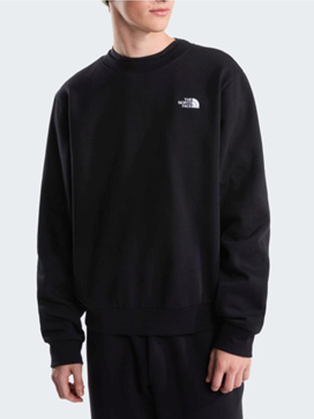 Felpa The North Face EVO SD REG CRE Uomo - Nero The North Face  Angolo dello Sport
