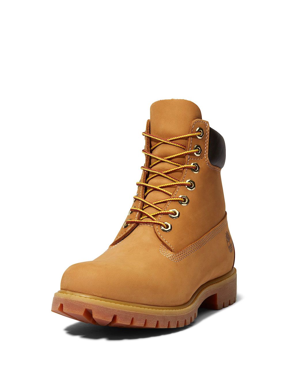 Stivaletti Timberland 6 INCH LACE UP Uomo - Marrone