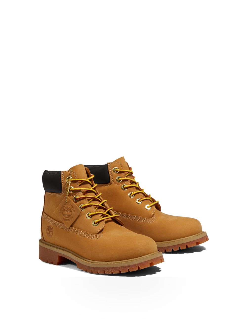 Stivaletti Timberland 6 INCH LACE UP WATERPROOF BOOT Unisex Bambino - Marrone