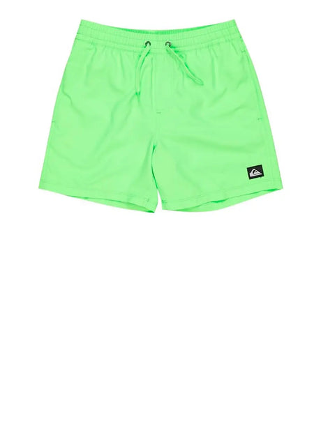 Costume Quicksilver Bambino - Verde