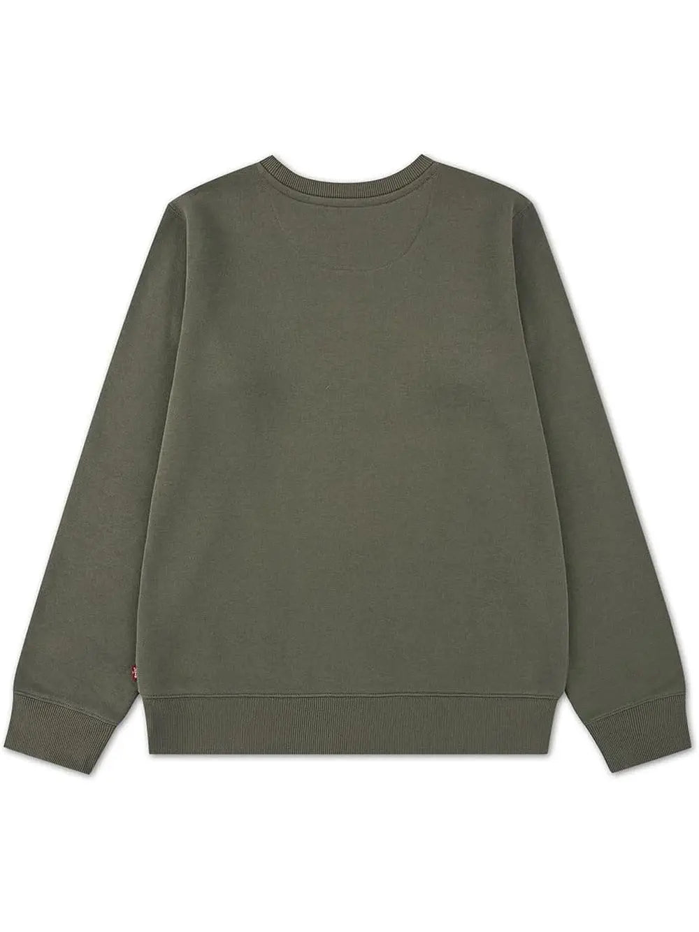 Felpa Levi's Bambino - Verde