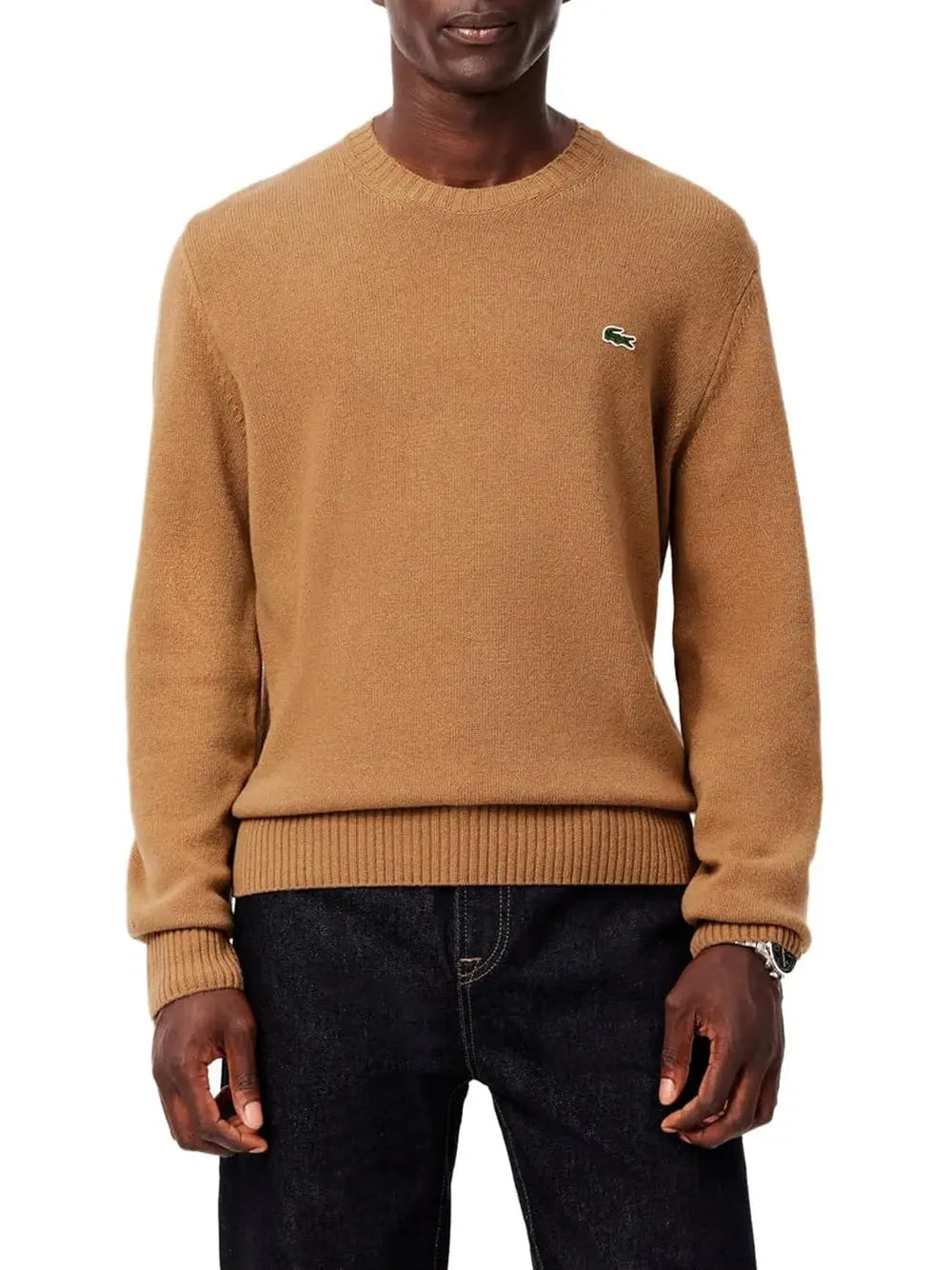 Pullover Lacoste Uomo Verde Lacoste  Angolo dello Sport