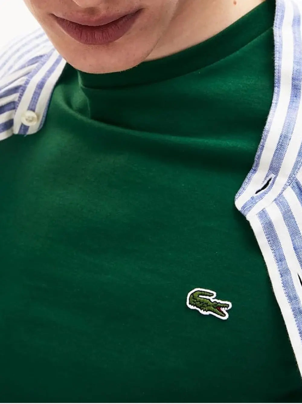 T-Shirt Lacoste Uomo - Verde