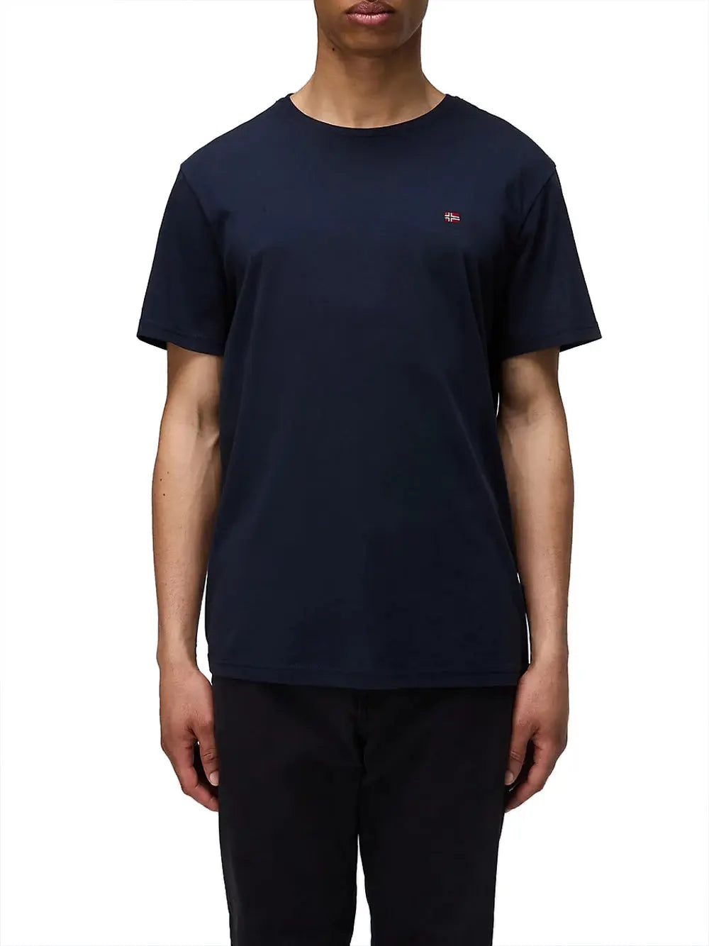 T-Shirt Napapijri Salis Uomo - Blu